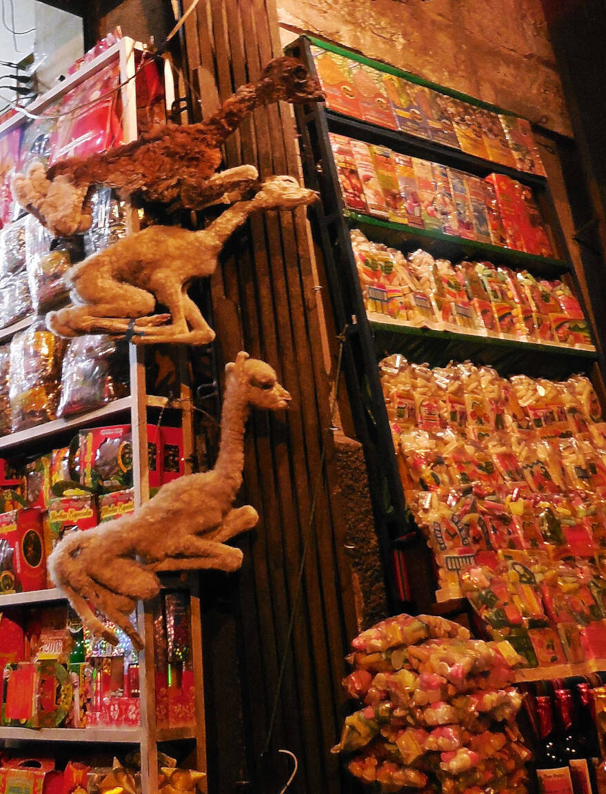 Witches Market (Mercado de las
          Brujas)