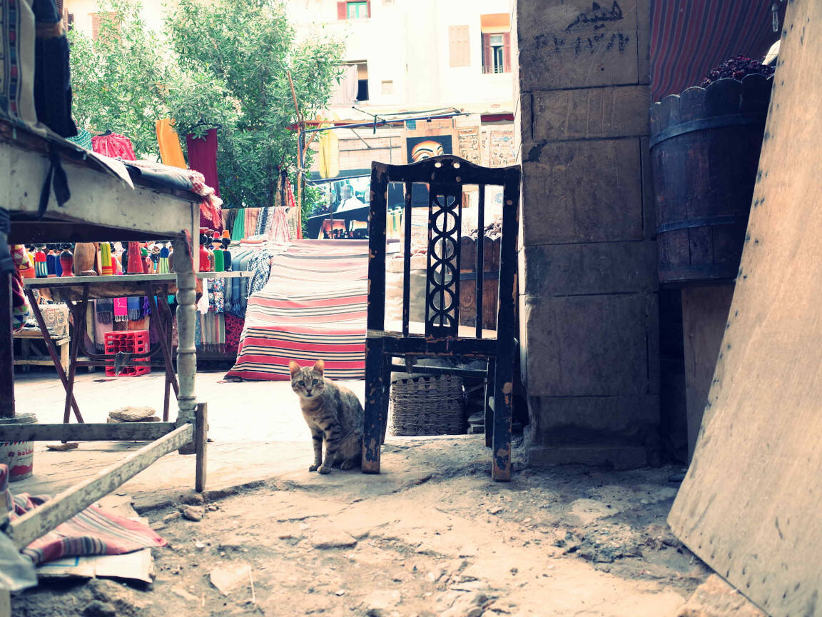 Market in Luxor