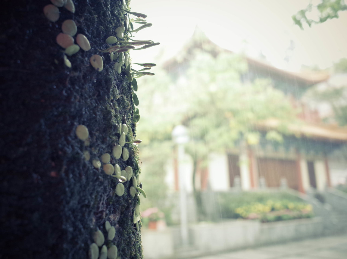 Ngong Ping (Hong Kong)