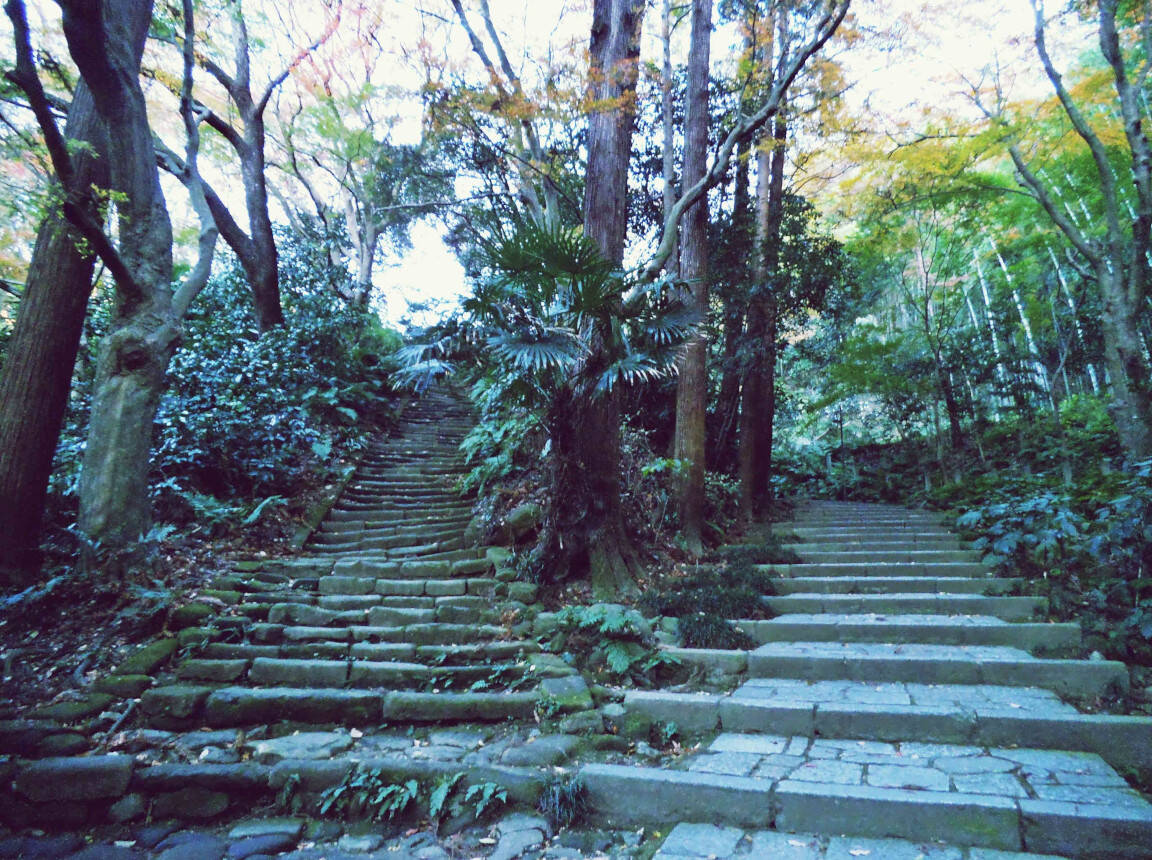Sentiero di gradini a Kamakura