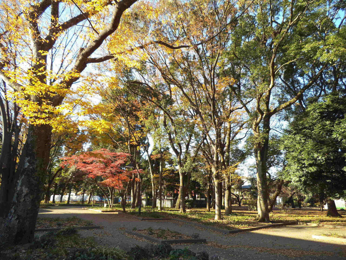 Tokyo: Park in Ueno