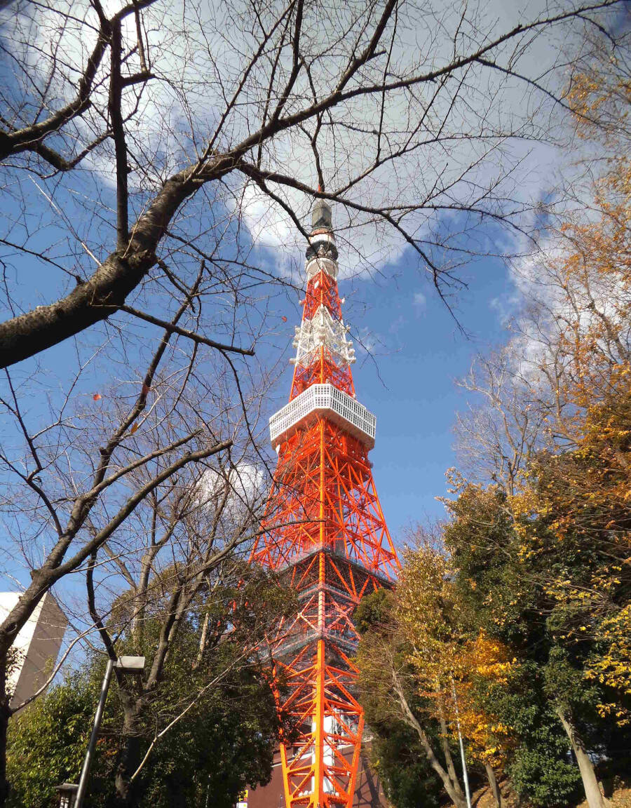 Tokyo: Tokyo Tower