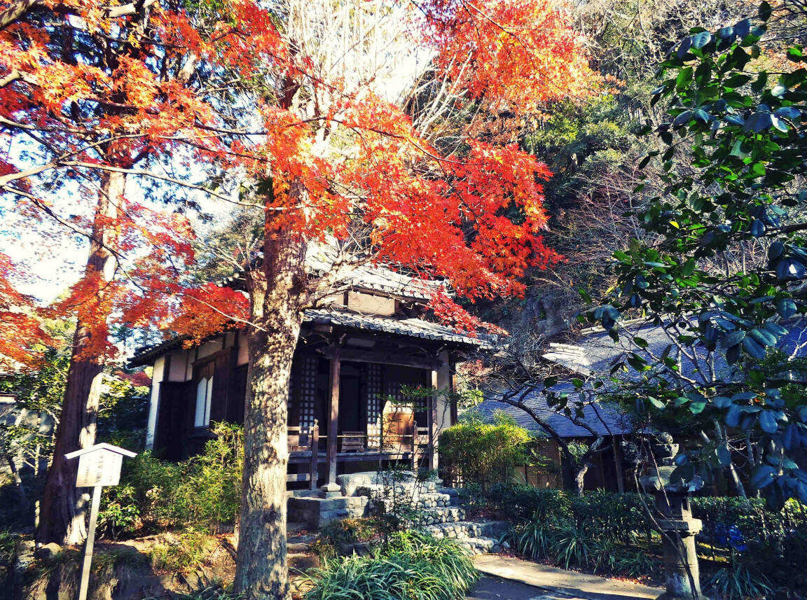 Autumn colors in Kamakura