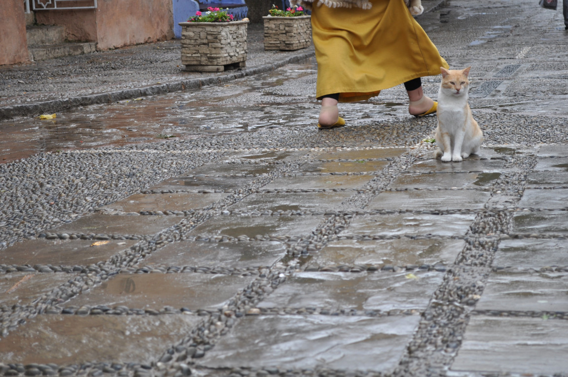 Chefchaouen #1