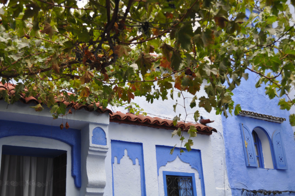 Chefchaouen #6