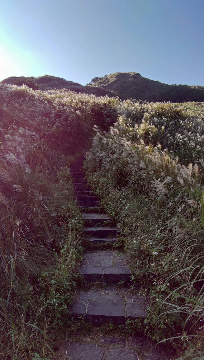 Taiwan mountain steps