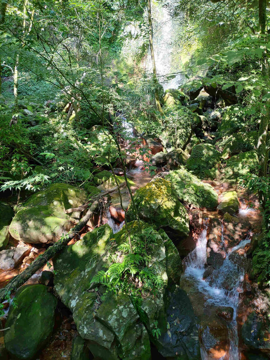 Ruscello di montagna a Taiwan