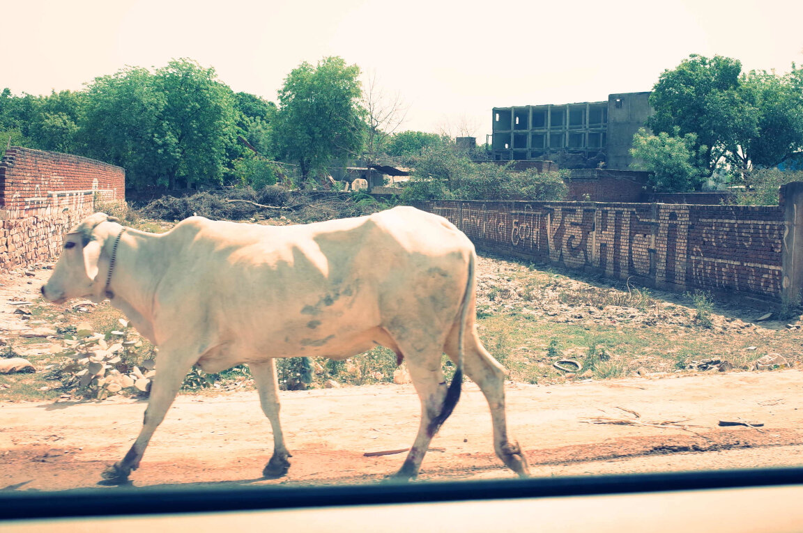 Road in Northern India