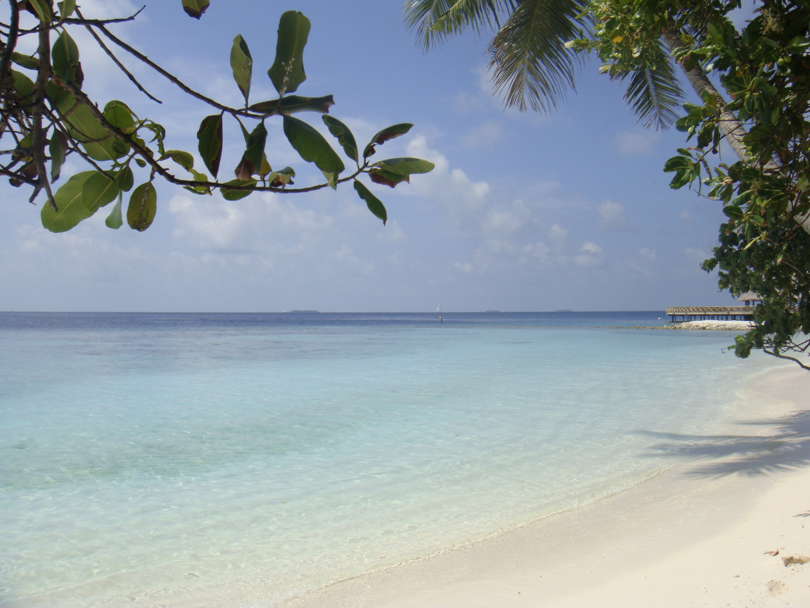 Maldive: mare #2