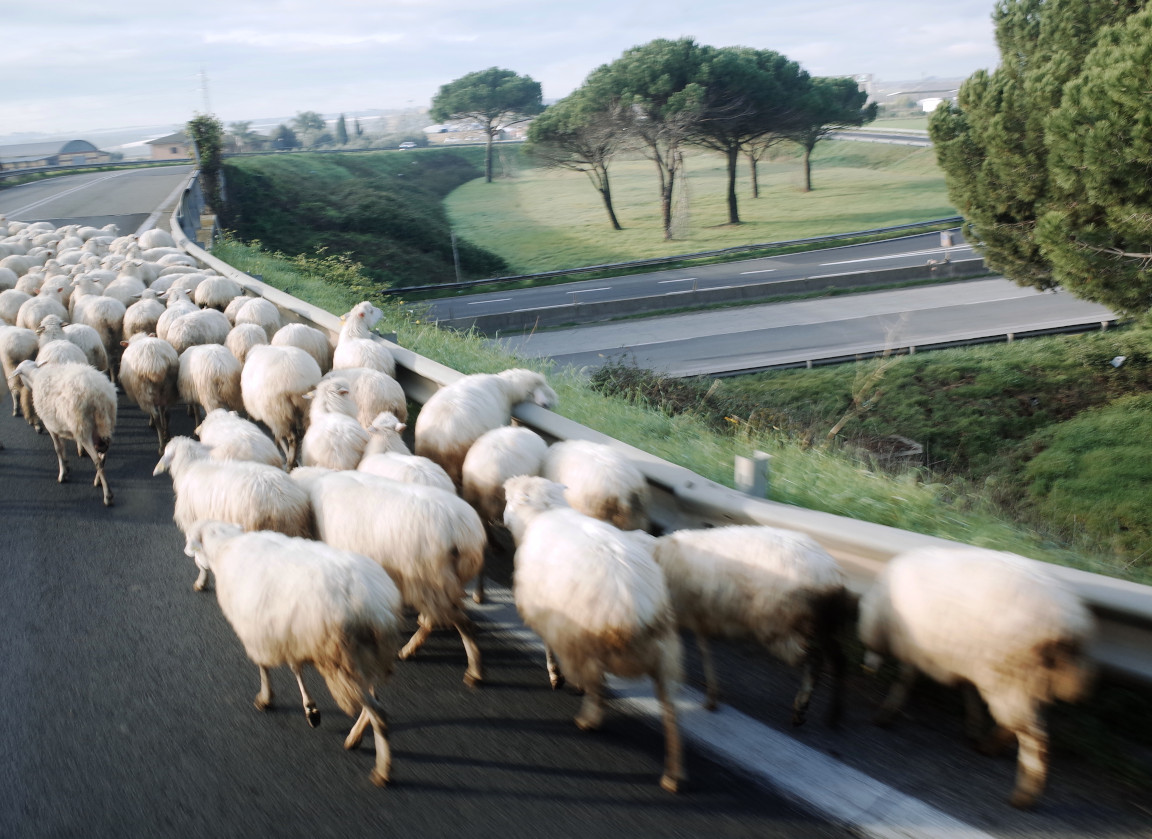 In bus verso San Felice Circeo