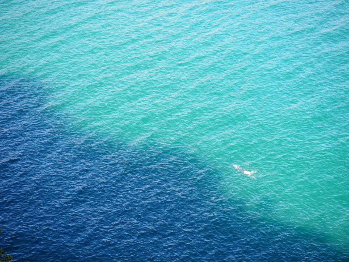 Amalfi Coast #4